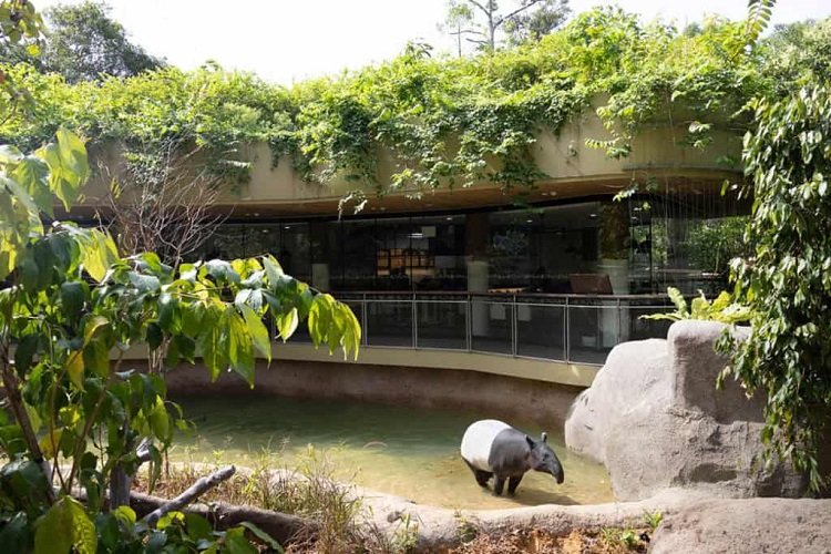Gardens & Wildlife Family Tour